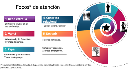 Método Caracola. Focos de atención para acompañar familias en tránsito por duelo perinatal.