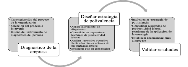 Fases del estudio